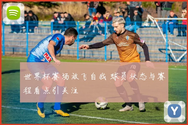 世界杯赛场放飞自我 球员状态与赛程看点引关注