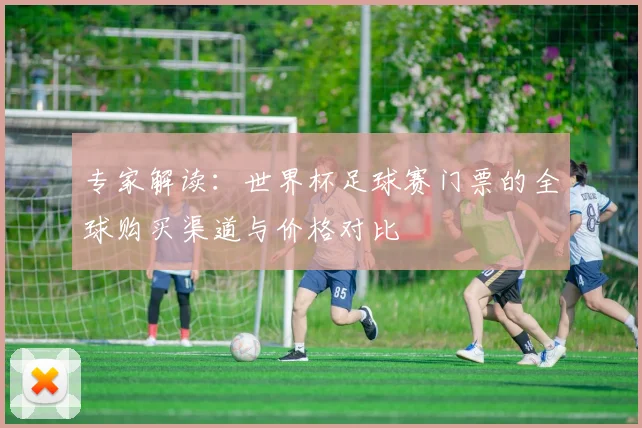 专家解读:世界杯足球赛门票的全球购买渠道与价格对比