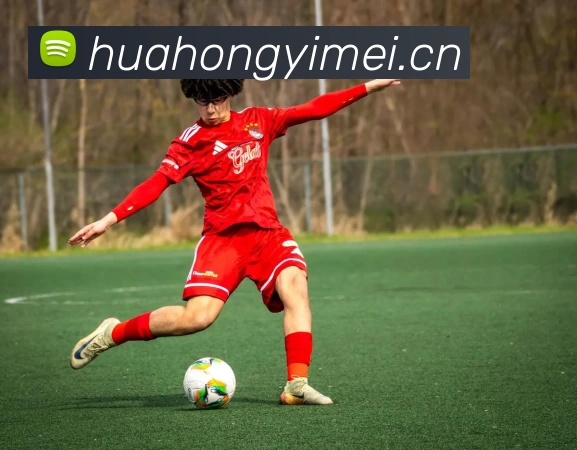 世界杯中国官网发展历程